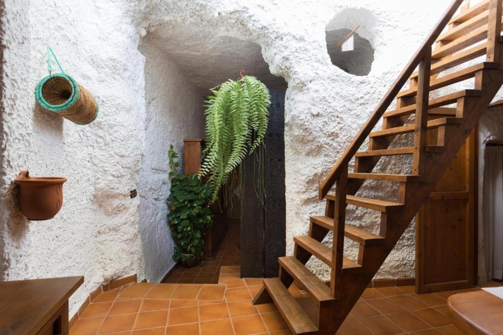 Live Socorro Cave Villa Güimar Dış mekan fotoğraf